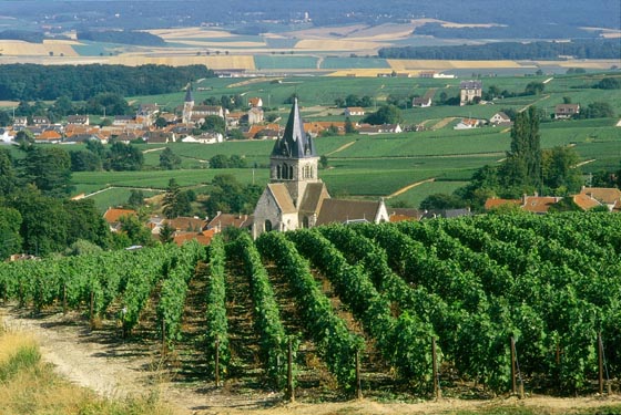 champagne tours train champagne tours train